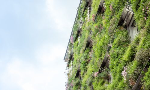 Overgrown house facade eco friendly cooling solutions